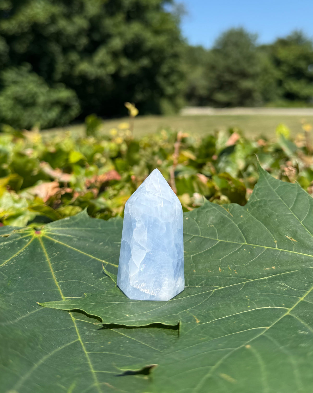 Celestit tårn