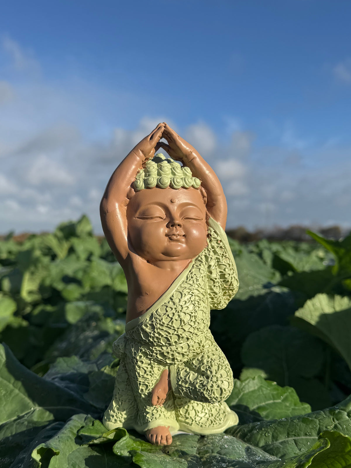 Munk i Vrksasana