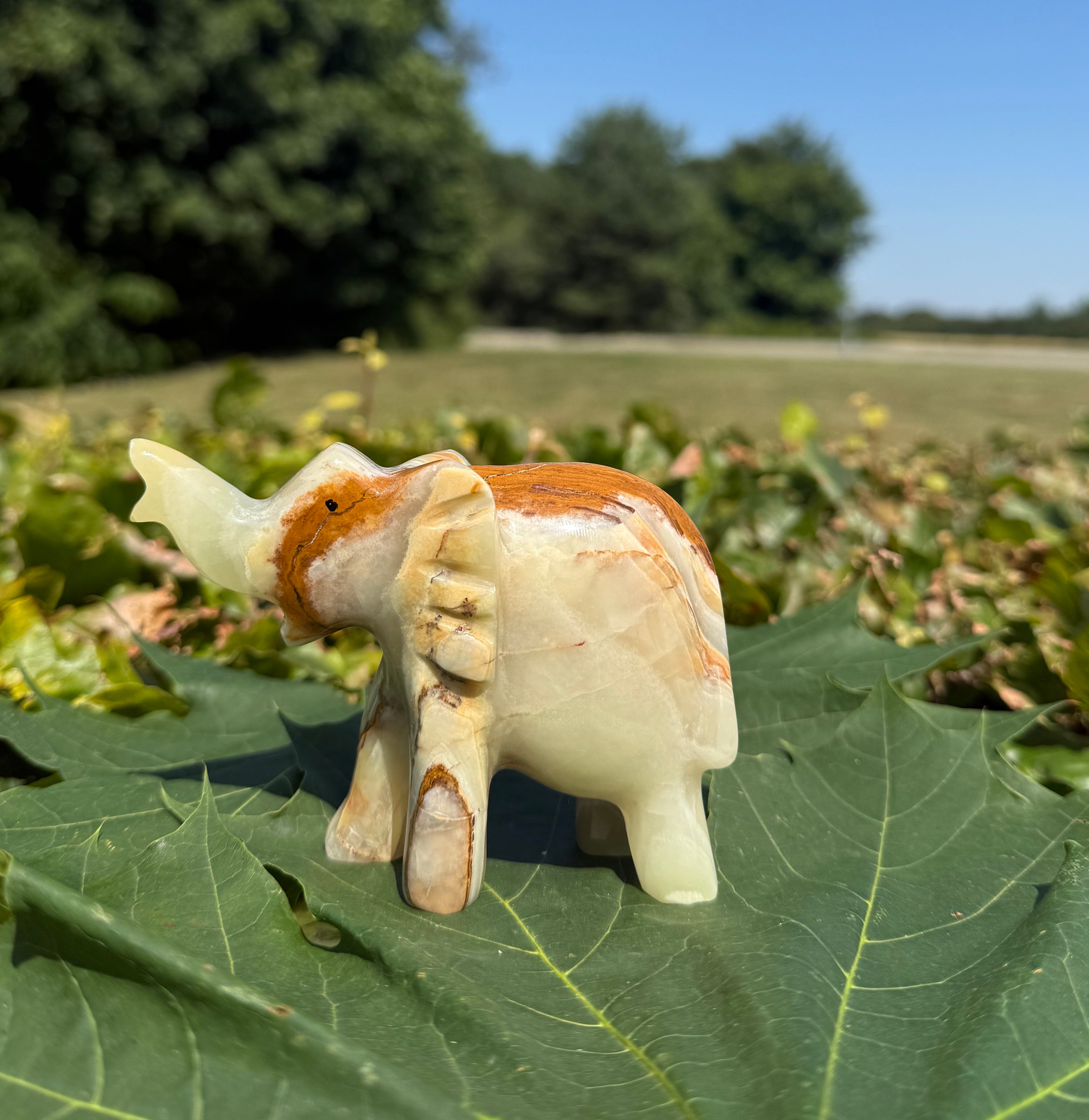 Onyx elefant