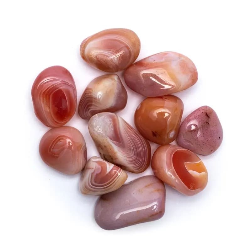 Agat abrikos XL 1