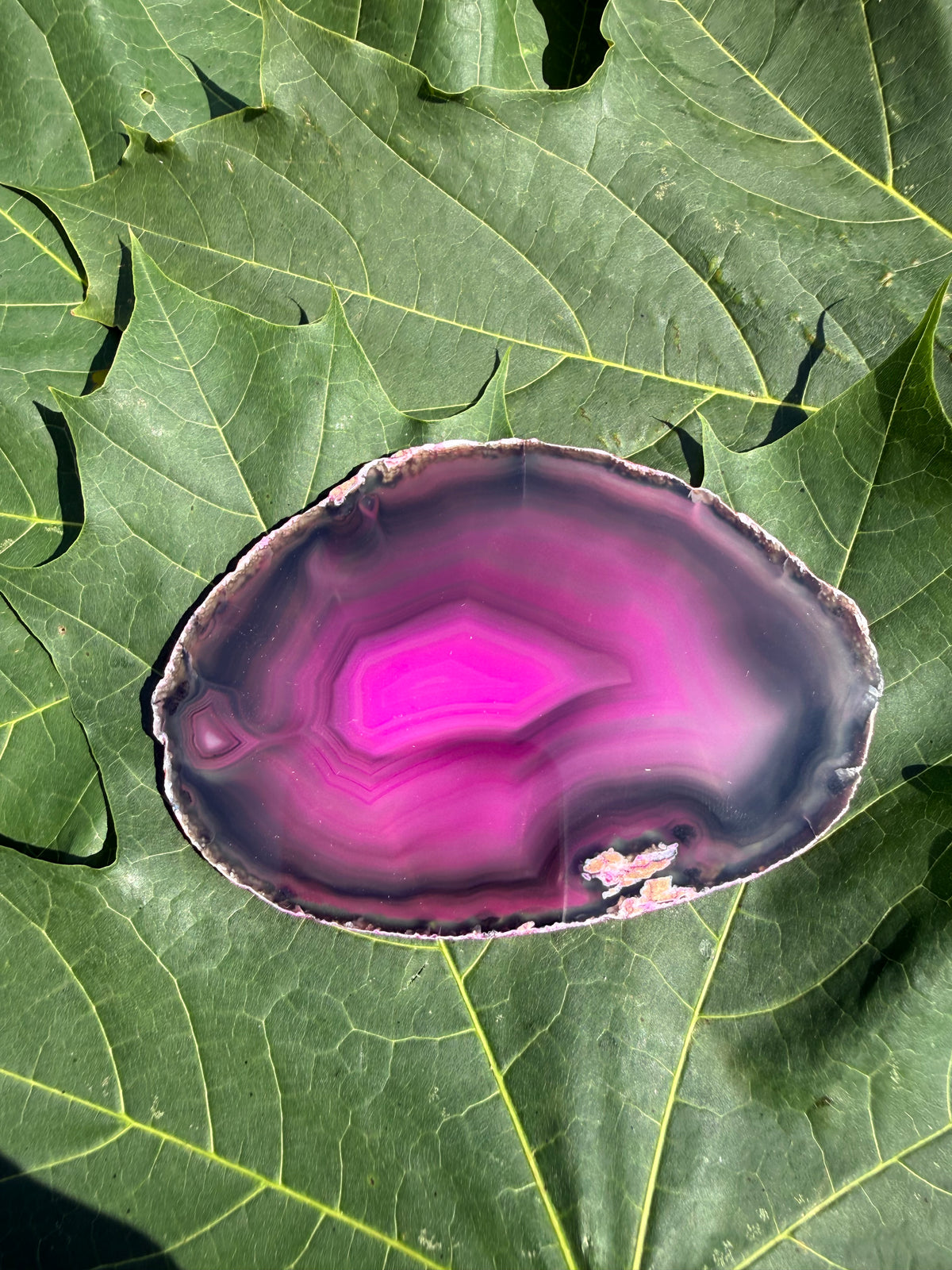 Agat pink - plade