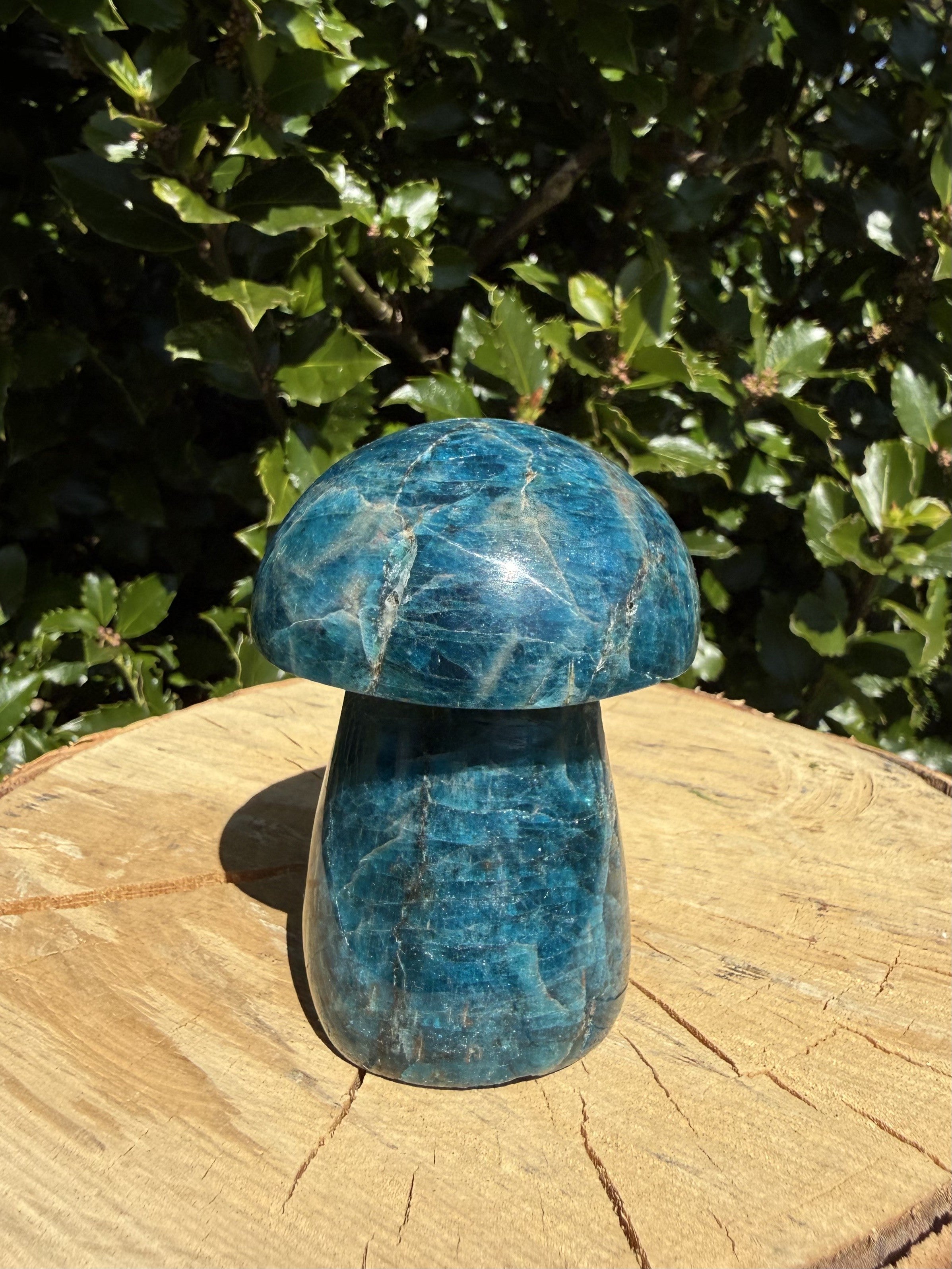 Apatit paddehat 2