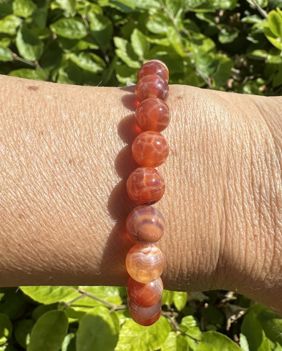 Armbånd karneol slangehud 1