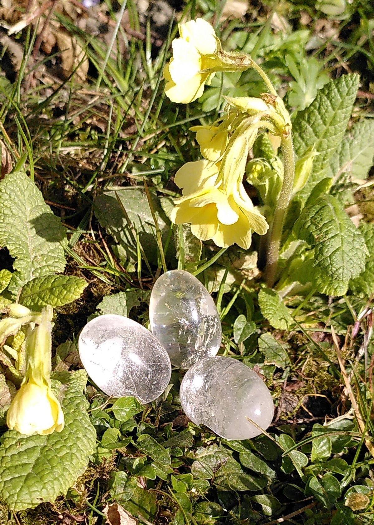 Bjergkrystal æg 3,5 cm 2