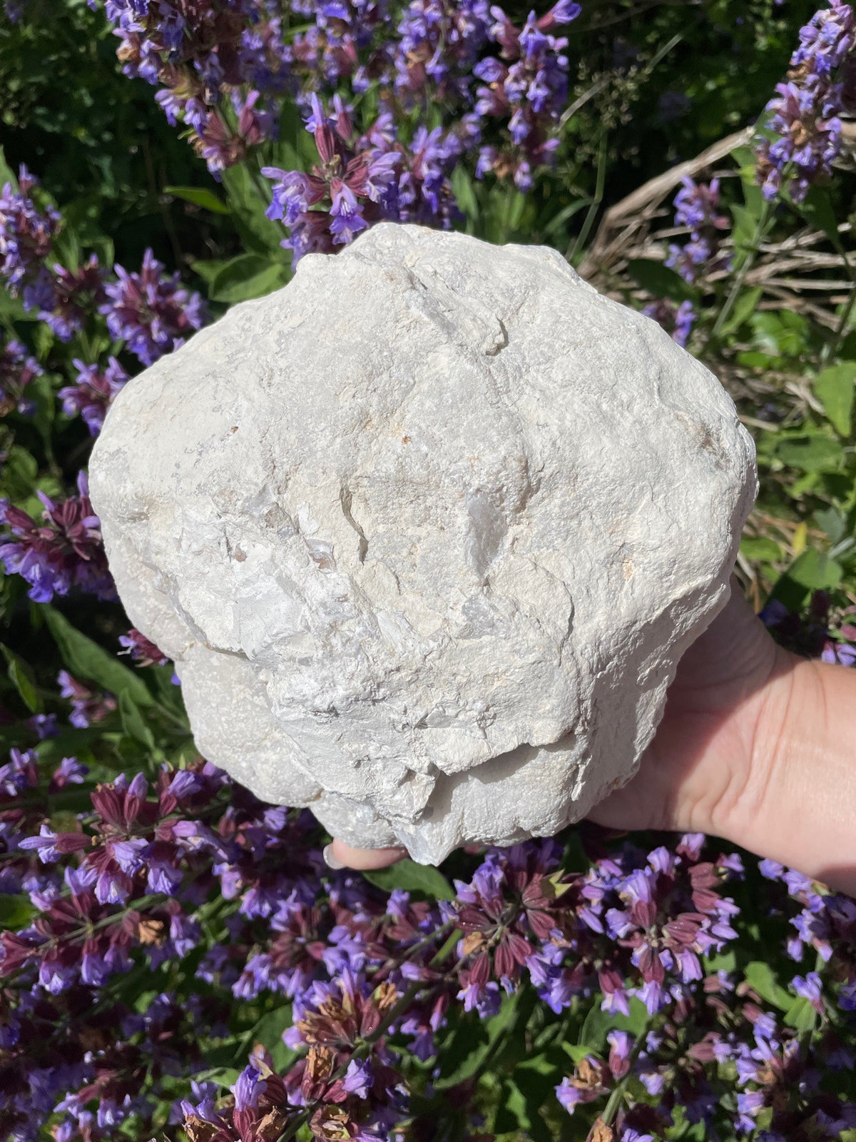 Bjergkrystal geode XXL 3