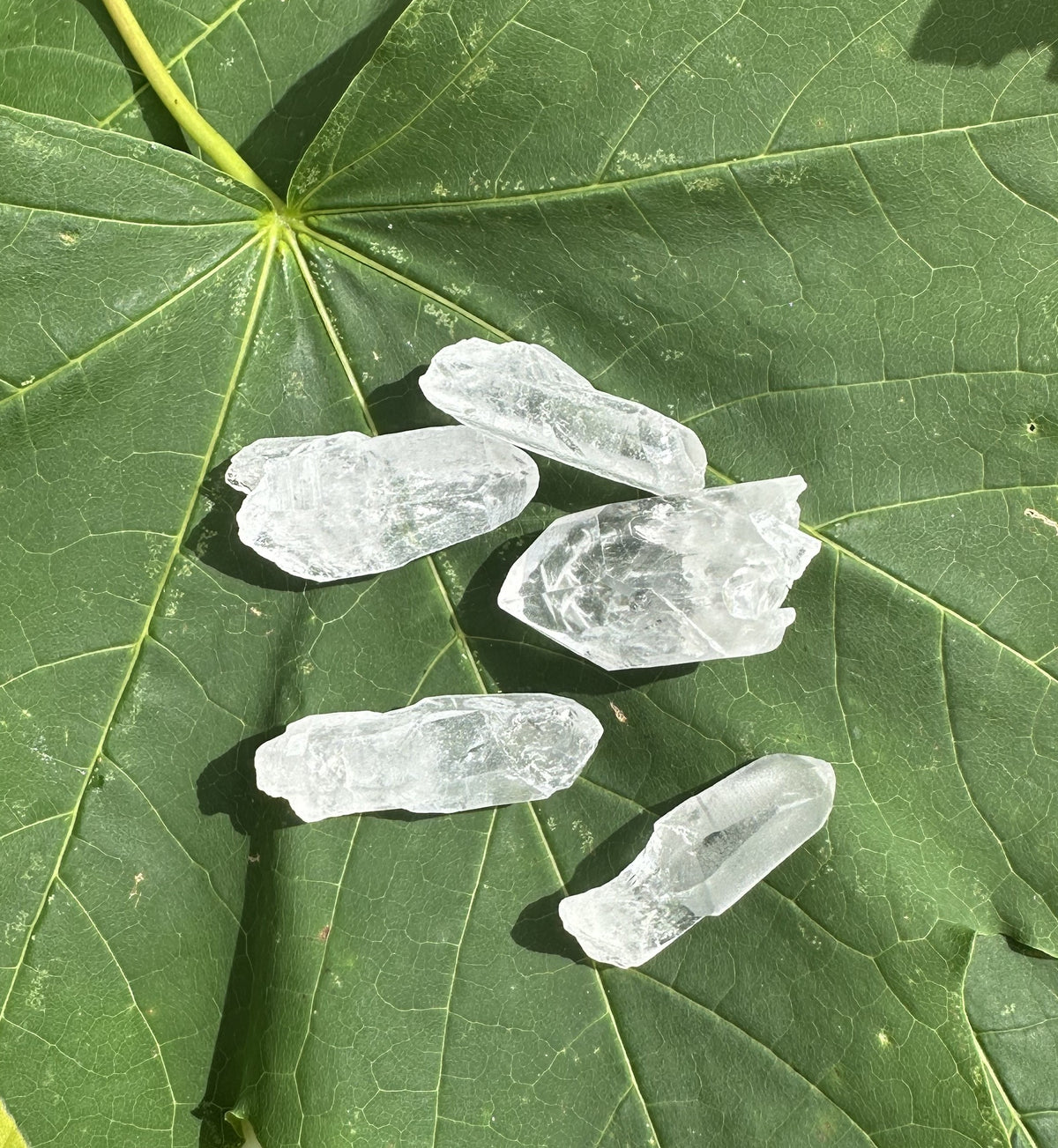 Bjergkrystal XS 1