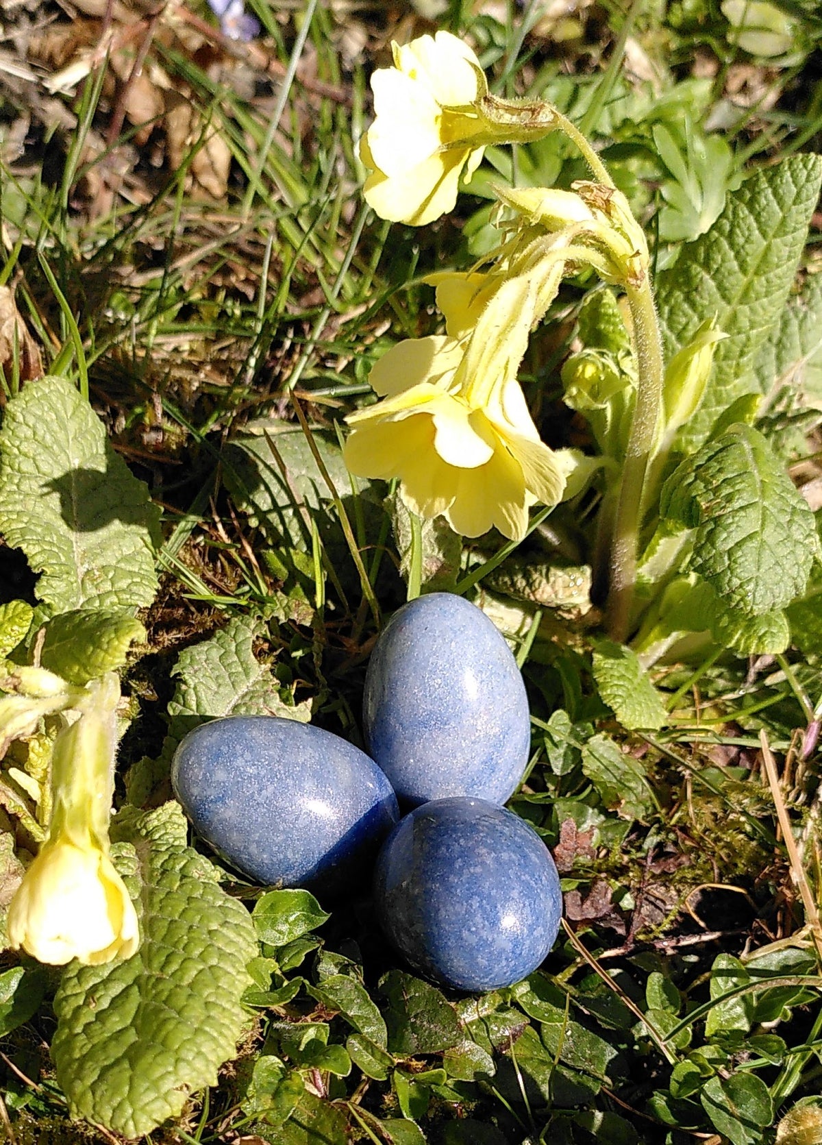 Blå kvarts æg 3,5 cm 2
