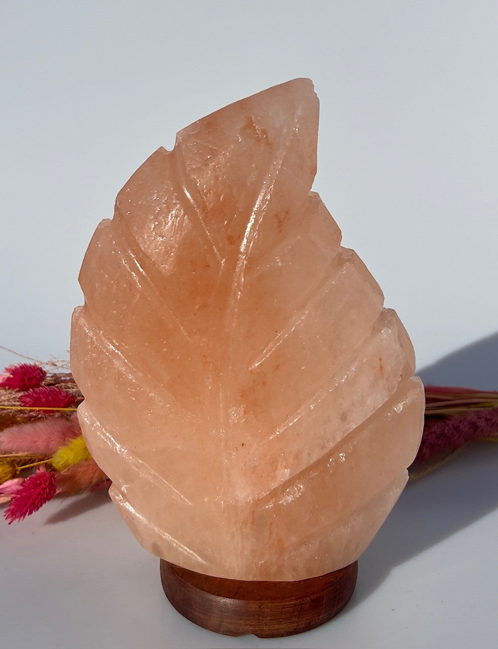 Bladformet Himalaya Saltlampe 1