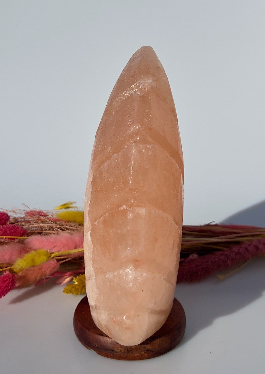 Bladformet Himalaya Saltlampe 2