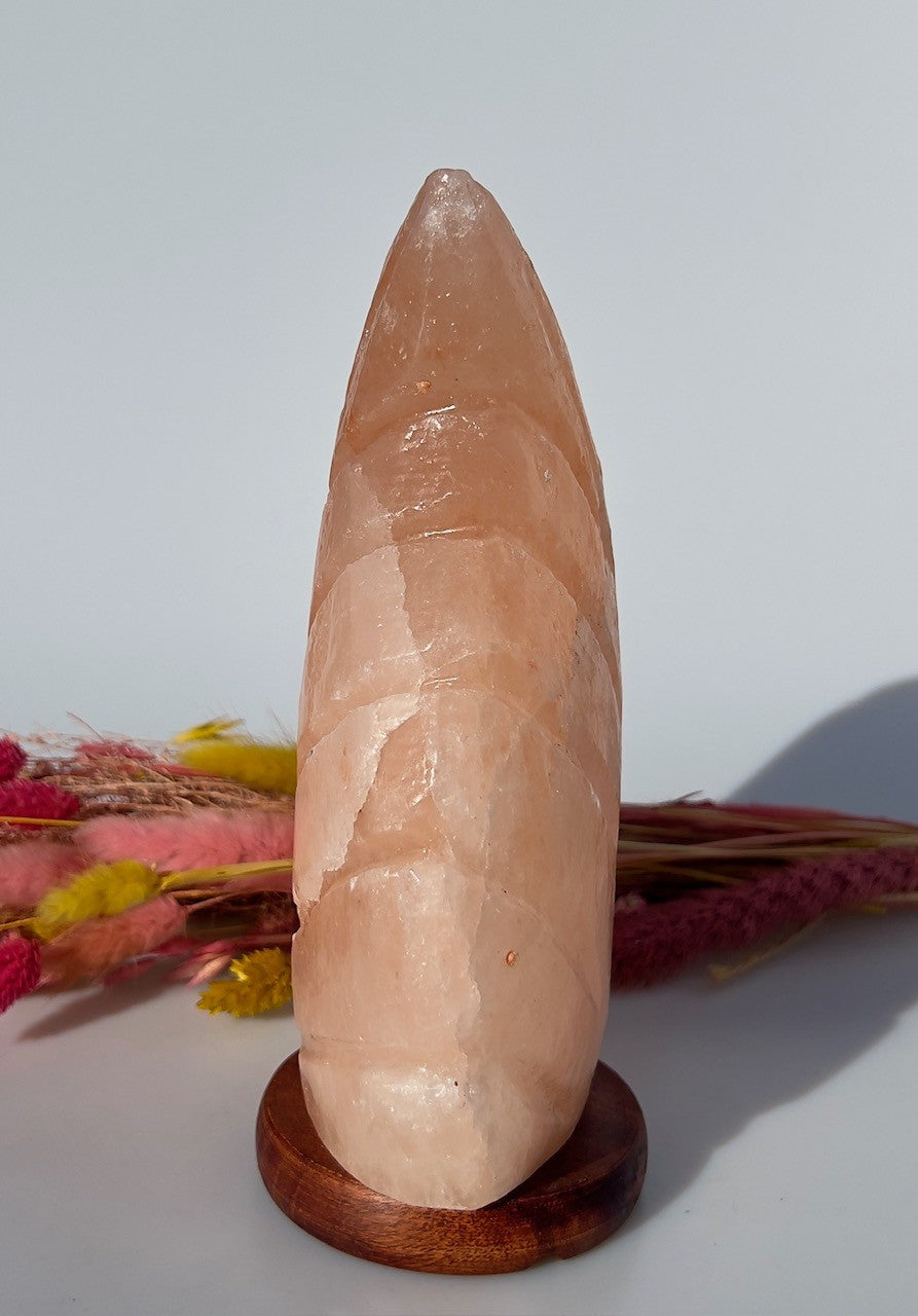 Bladformet Himalaya Saltlampe 3