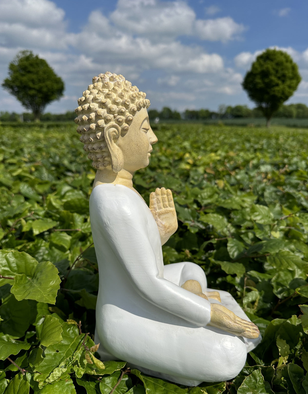 Buddha Abhaya Mudra hvid 2