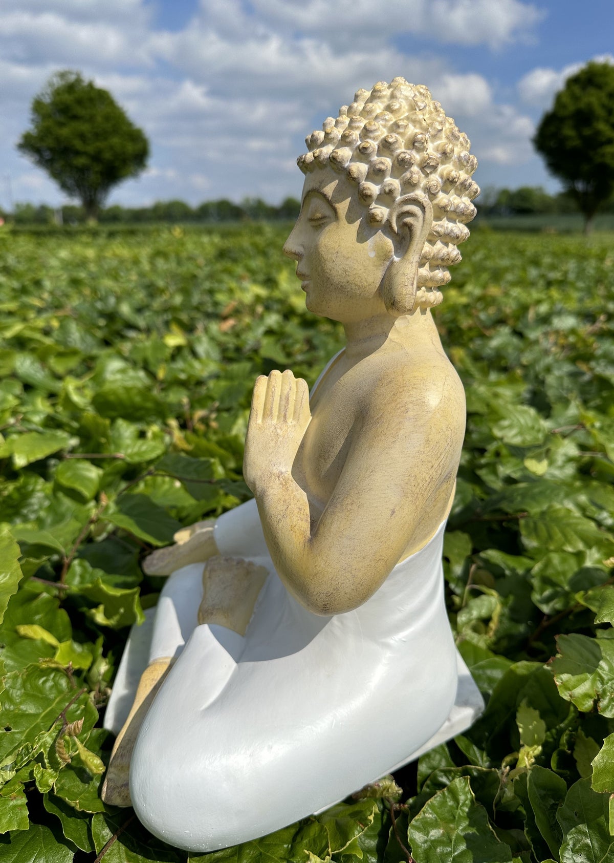 Buddha Abhaya Mudra hvid 4