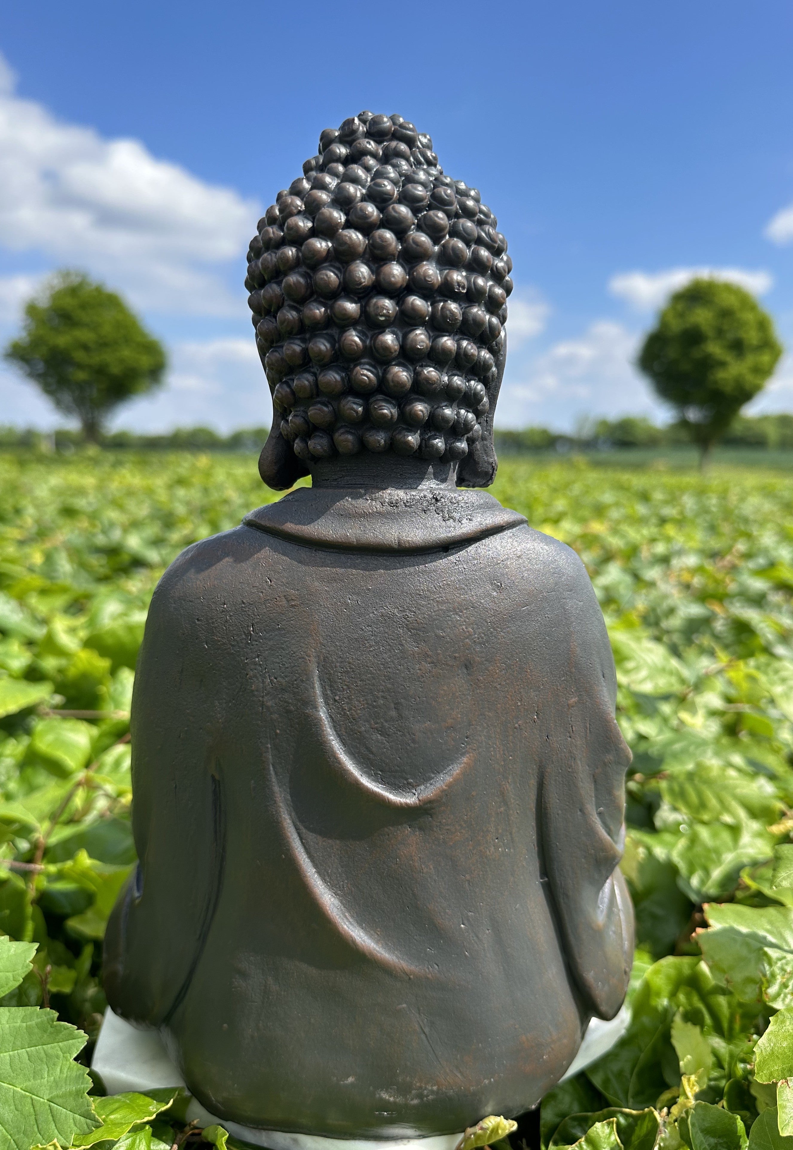 Buddha med lotusfad 2