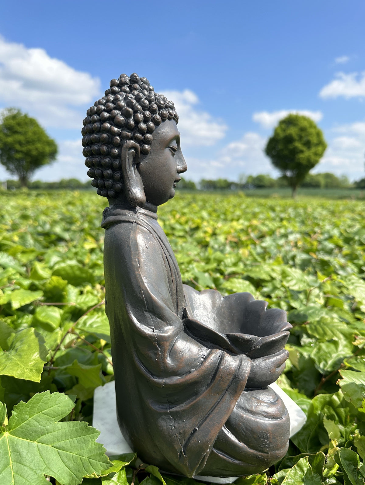 Buddha med lotusfad 3