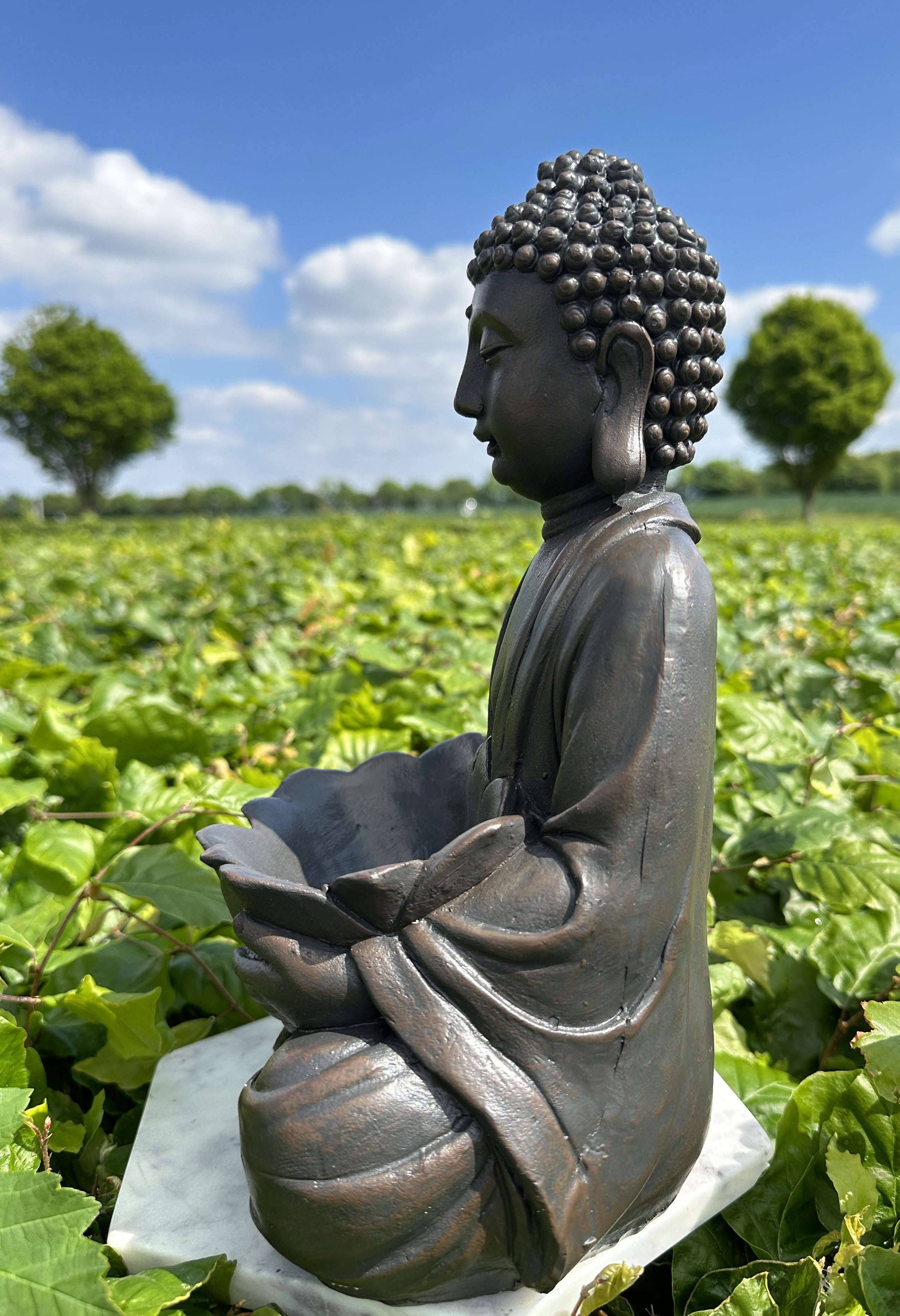 Buddha med lotusfad 4