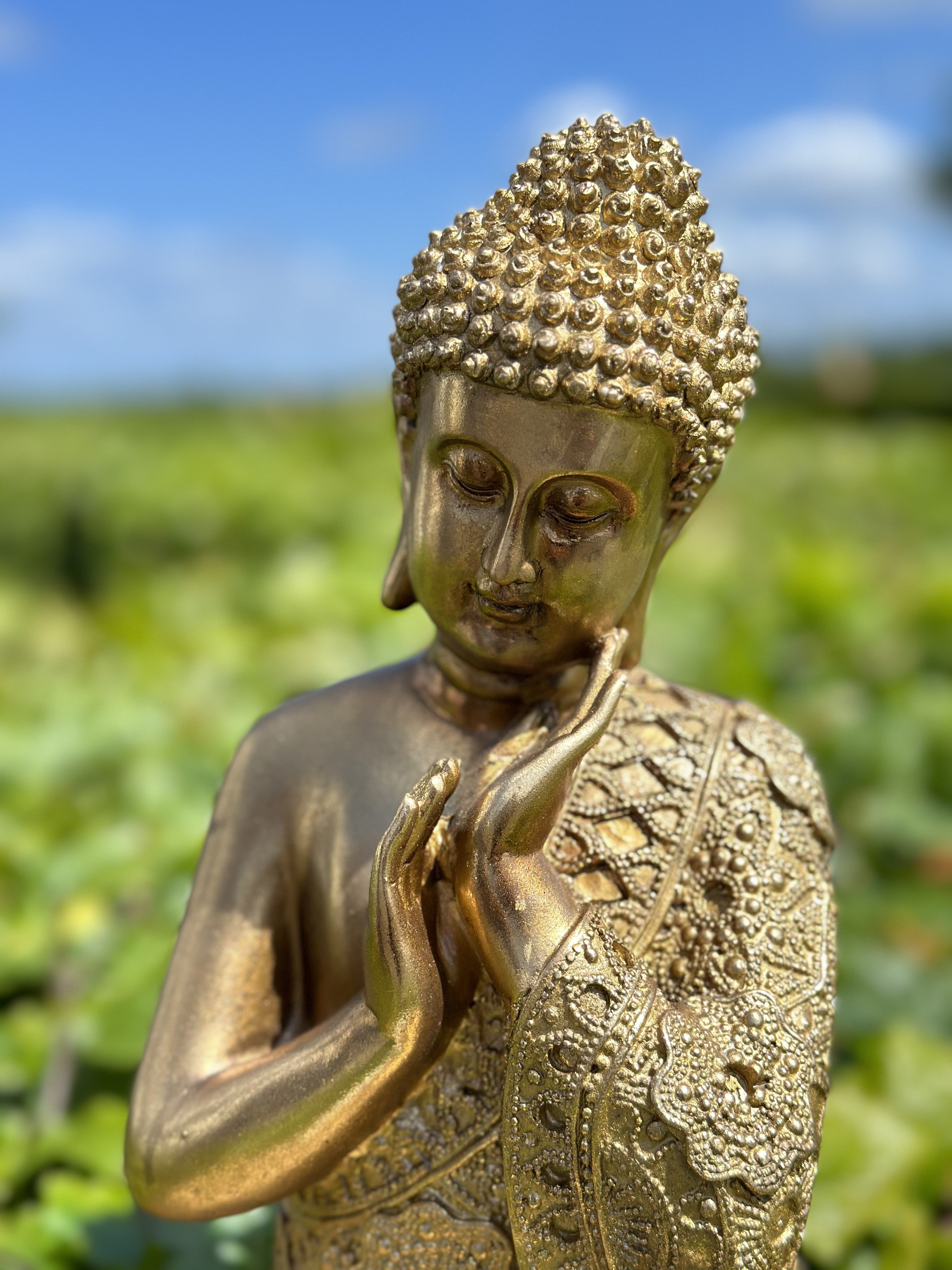 Buddha - Ro 2