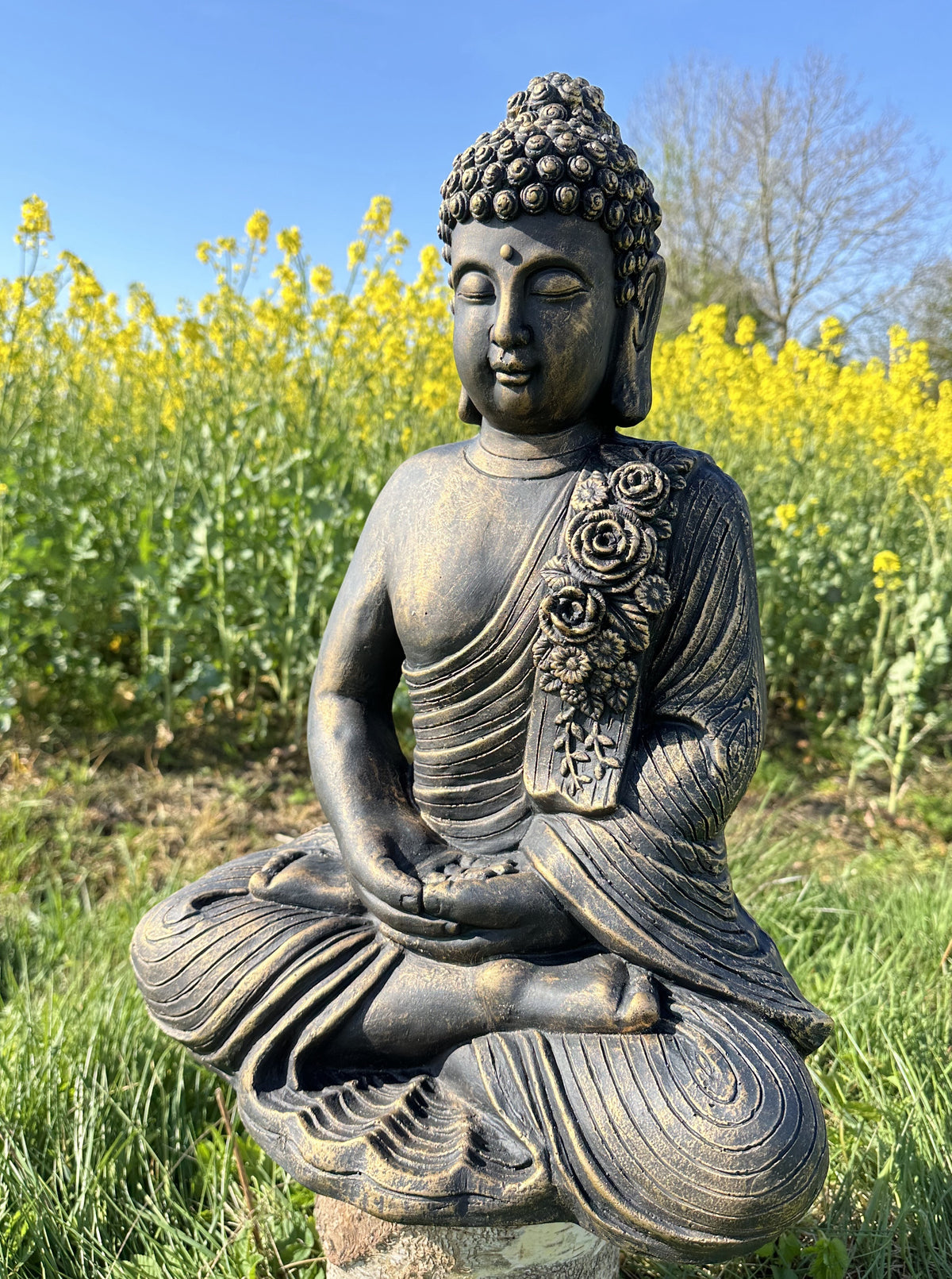 Buddha Bronze 1