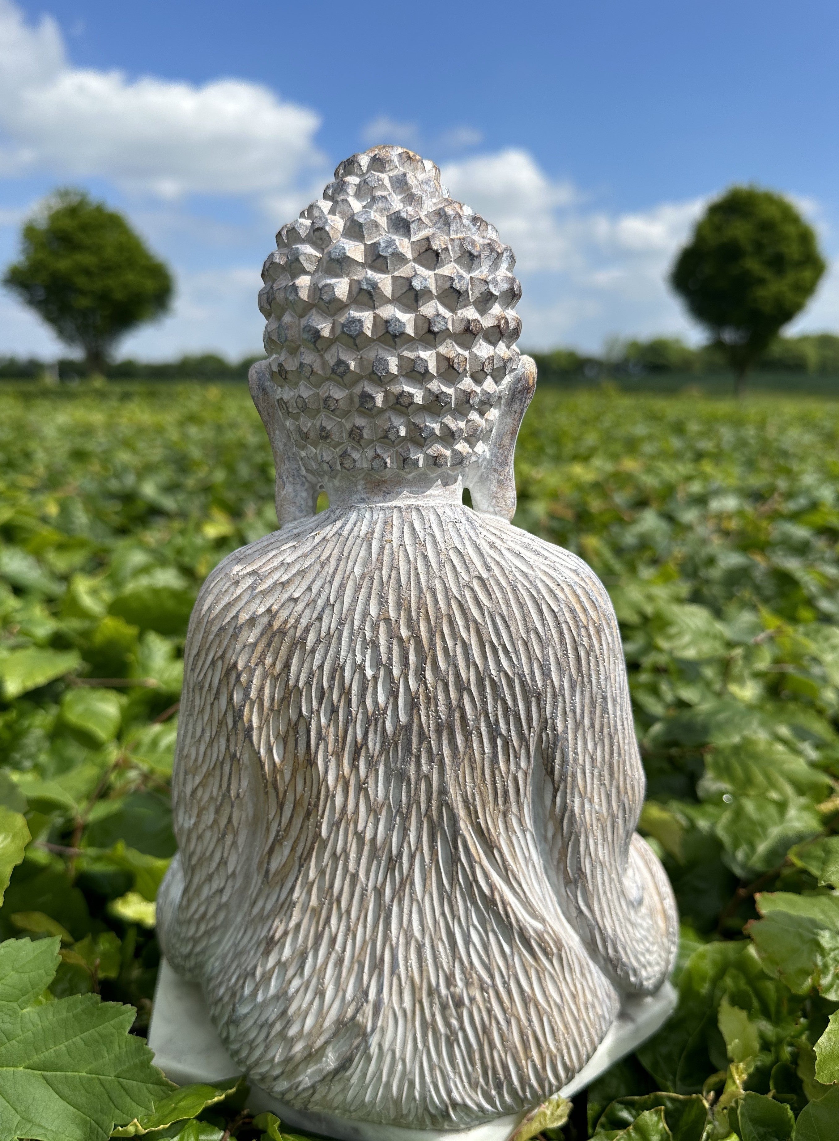 Buddha til lys 3