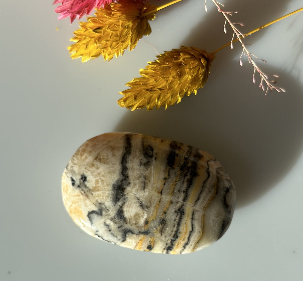 Bumble bee jaspis oval 2