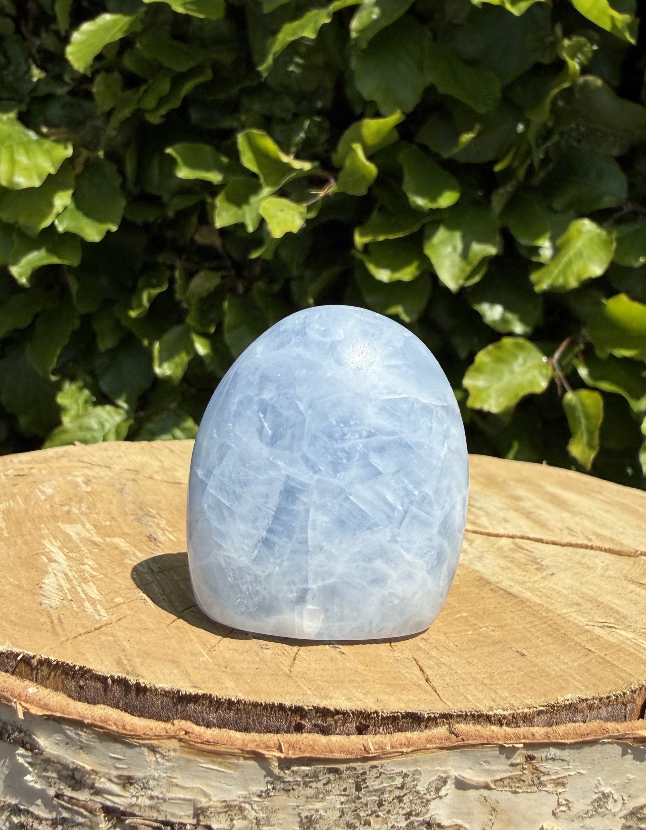 Celestit freeform 1
