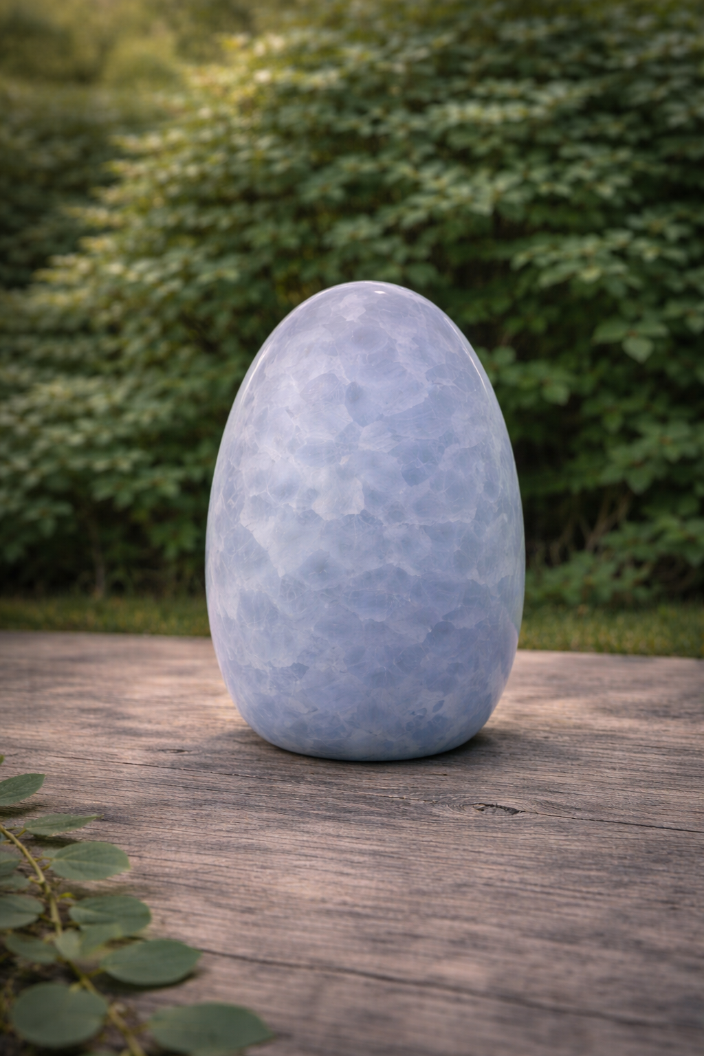 Celestit freeform 2