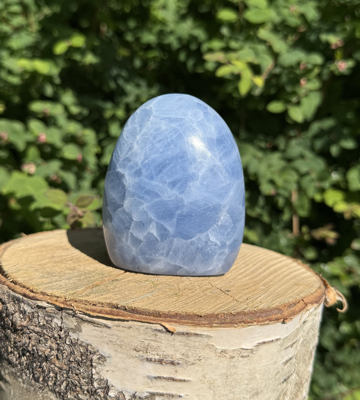 Celestit freeform 1