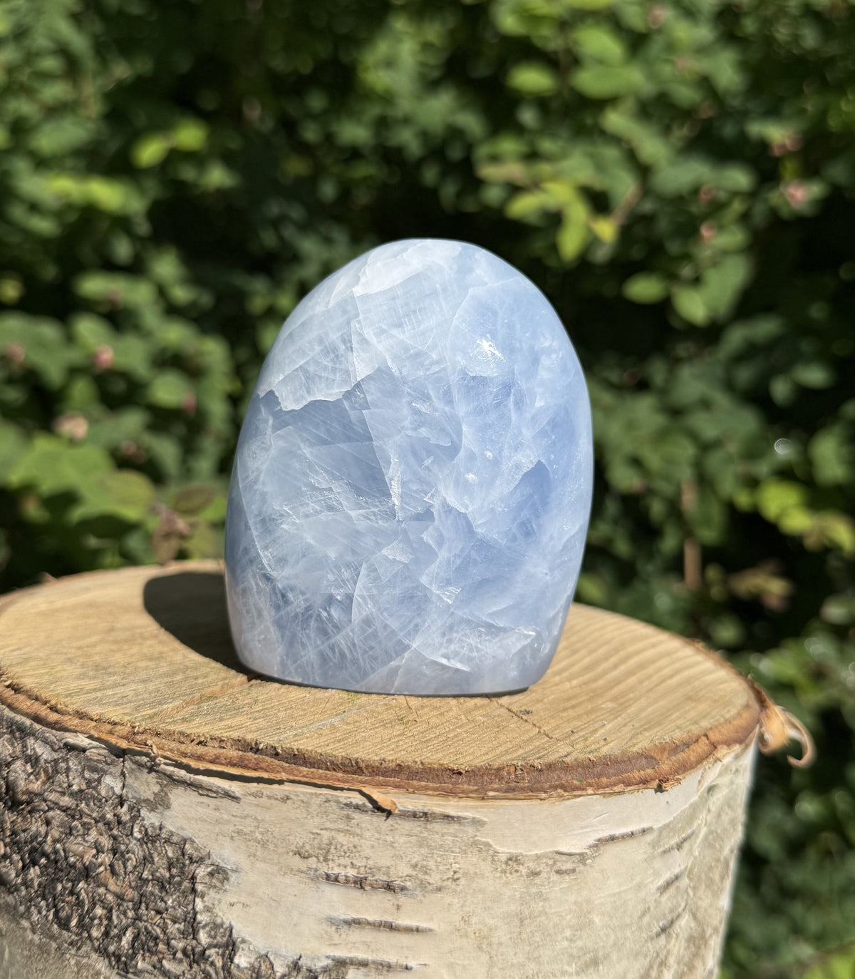 Celestit freeform 2