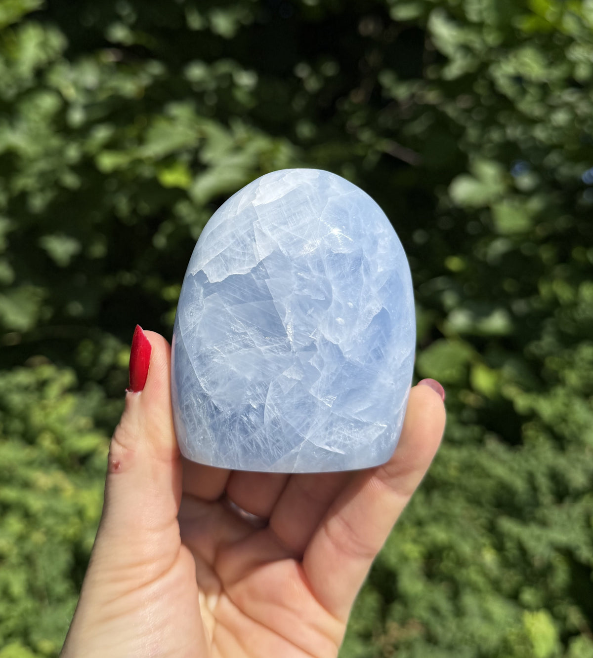 Celestit freeform 3