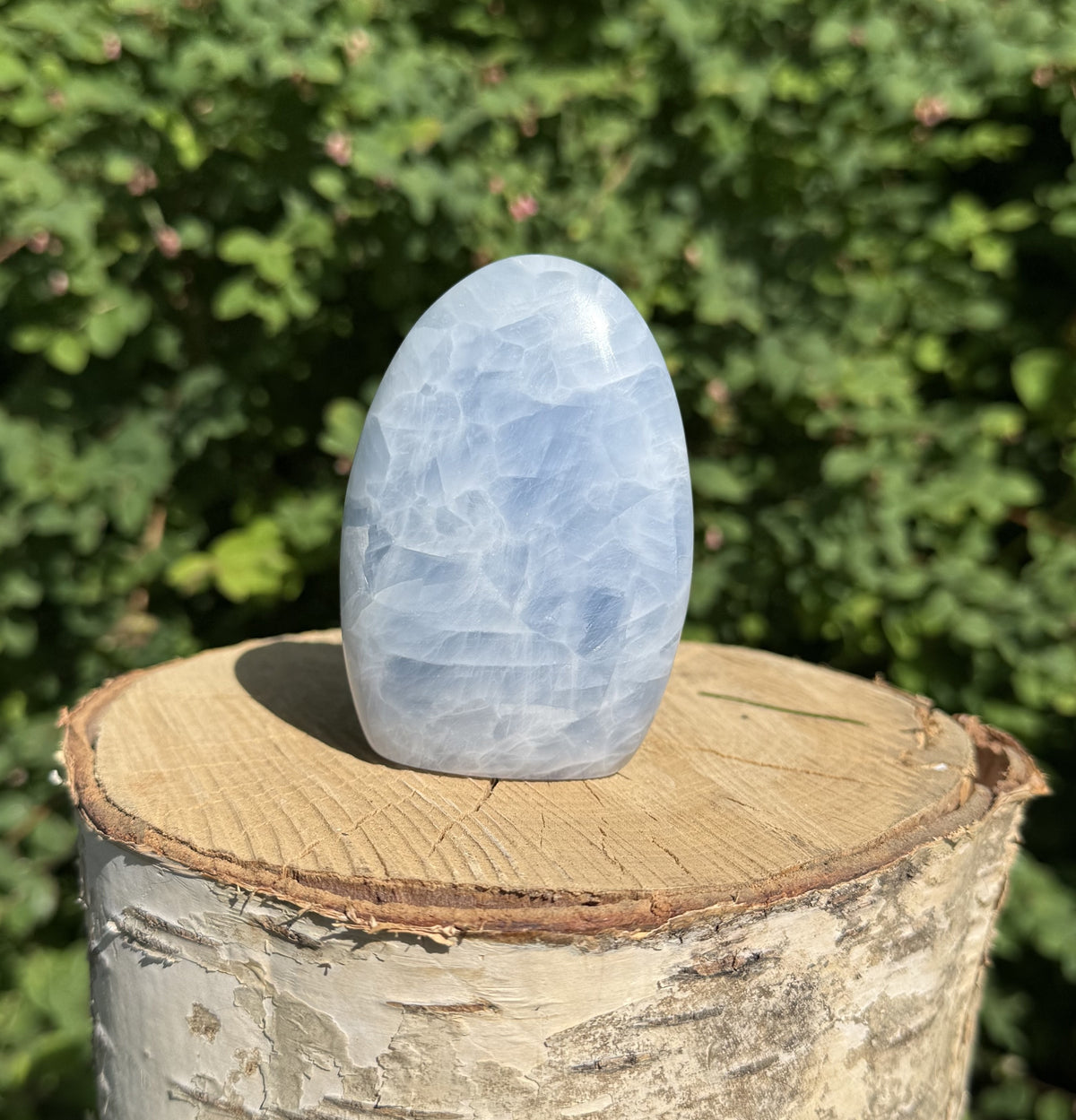 Celestit freeform 1