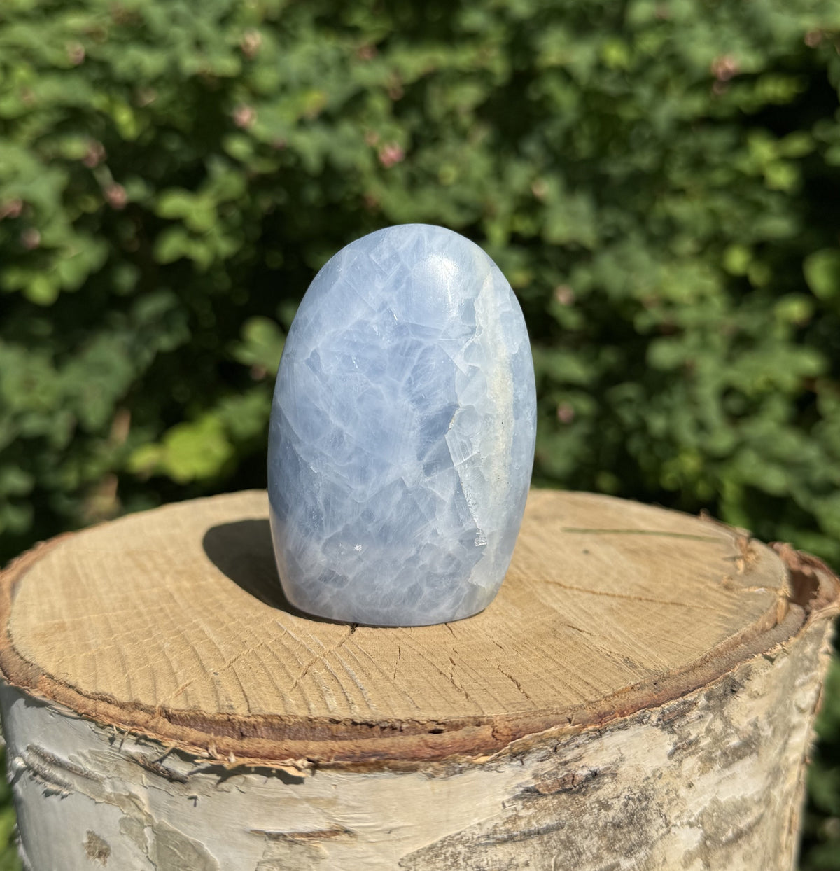 Celestit freeform 3