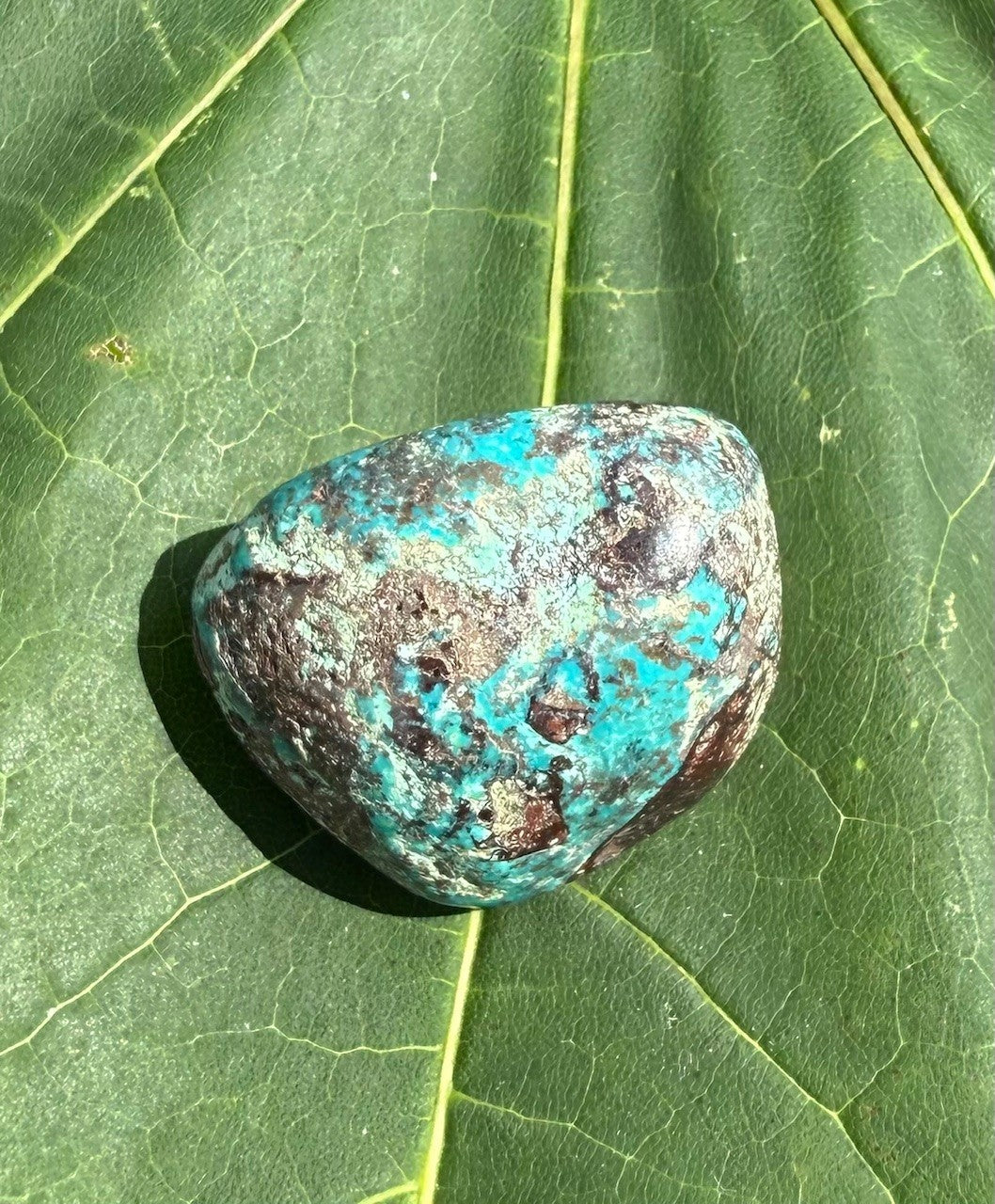 Chrysocolla - M 1