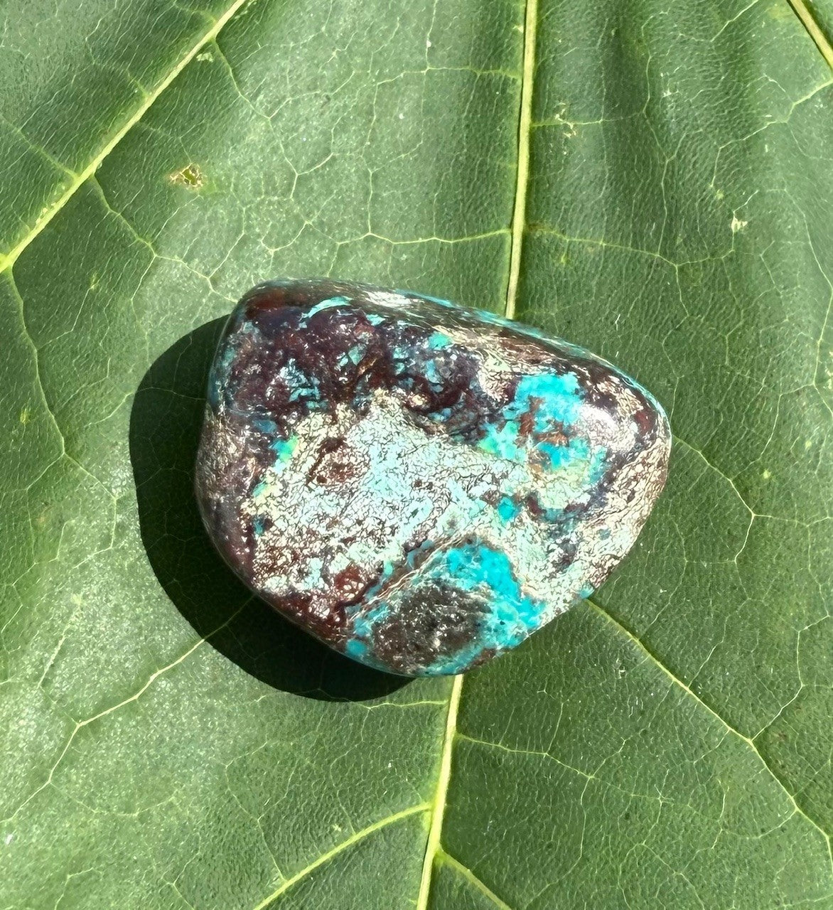 Chrysocolla - M 2