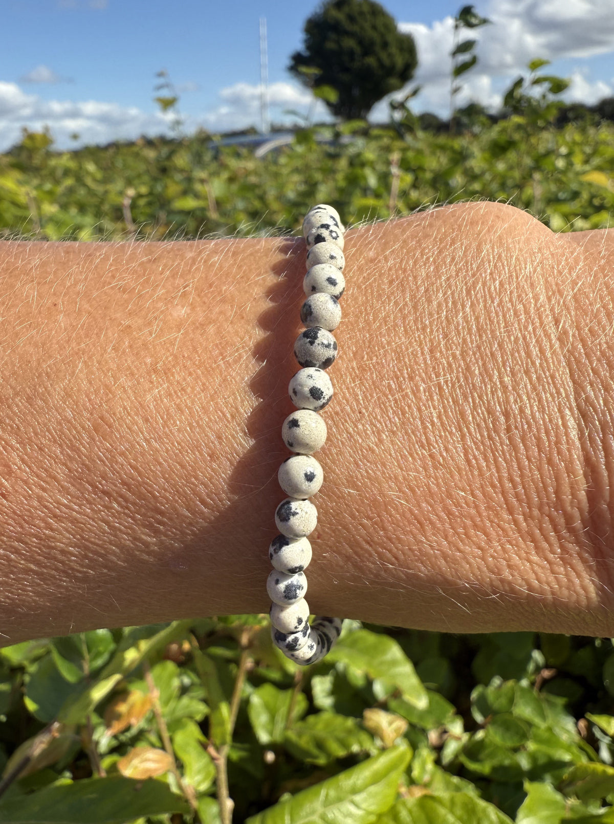 Dalmatiner armbånd 2