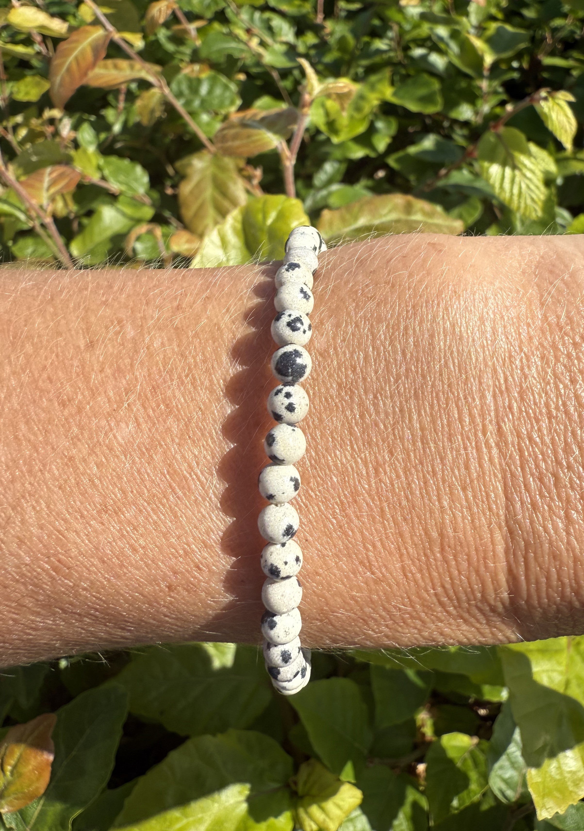 Dalmatiner armbånd 3