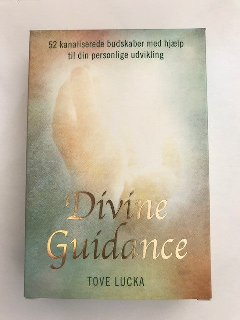 Divine Guidance Tove Lucka 1