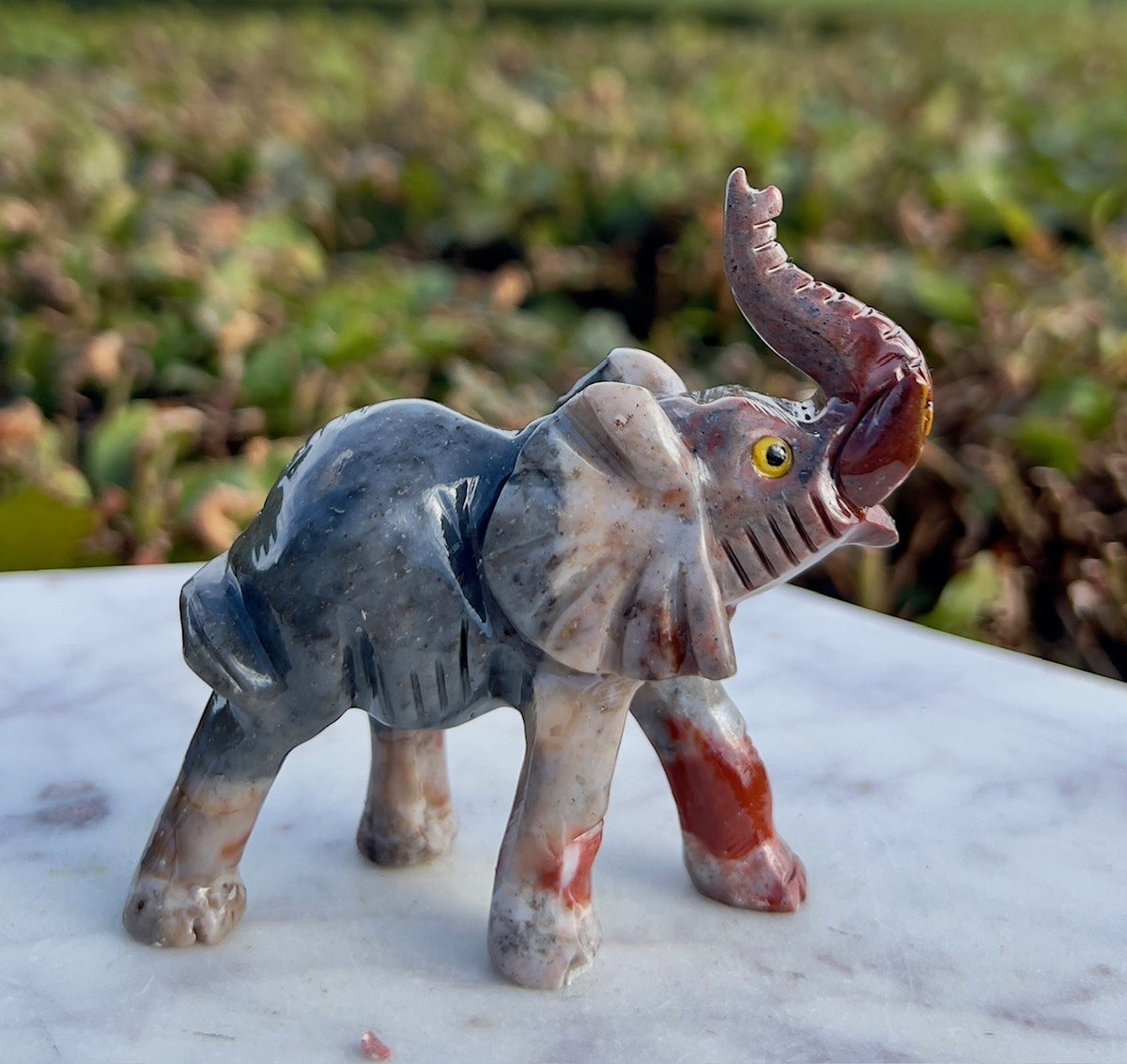Elefant - Onyx 1