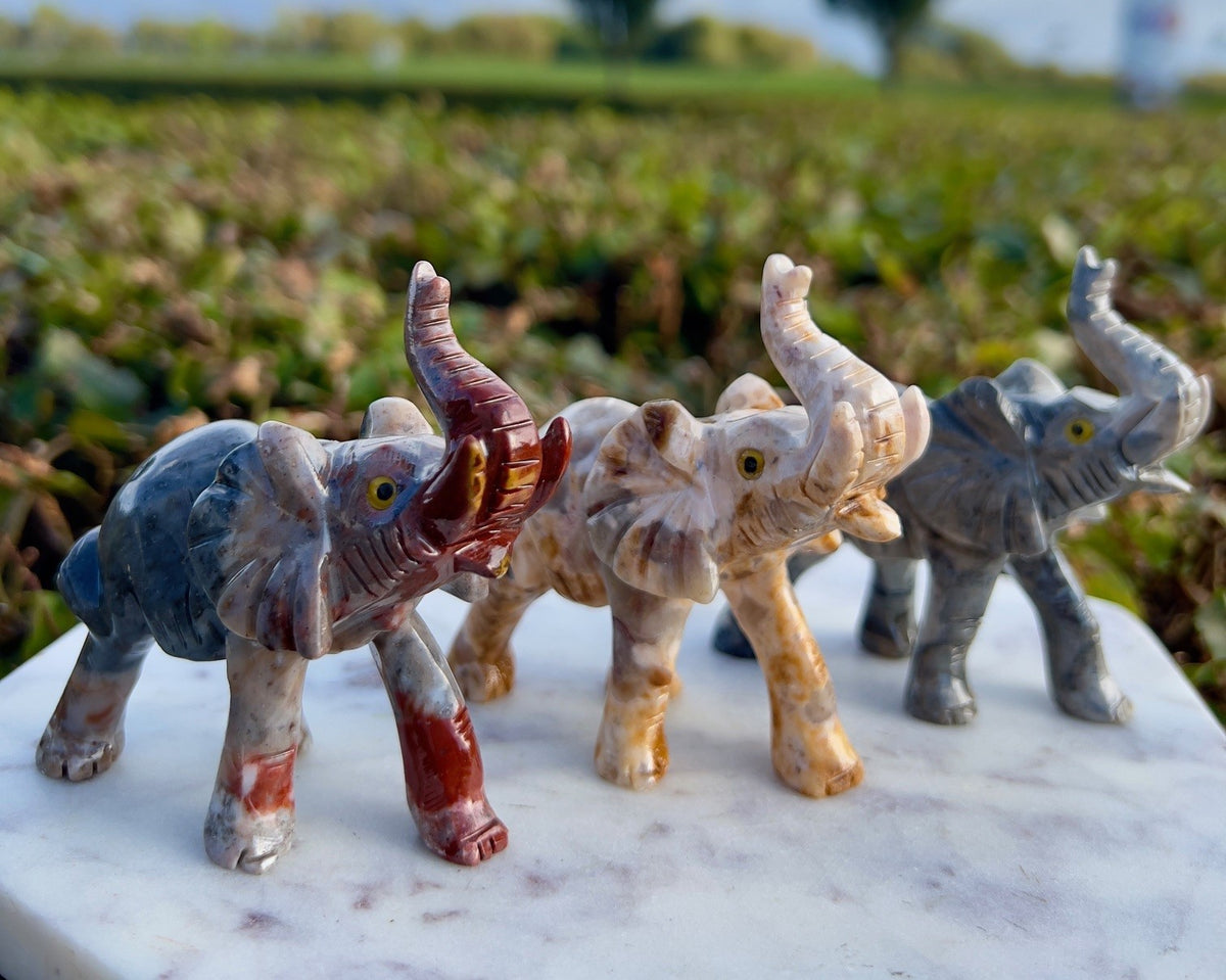 Elefant - Onyx 2