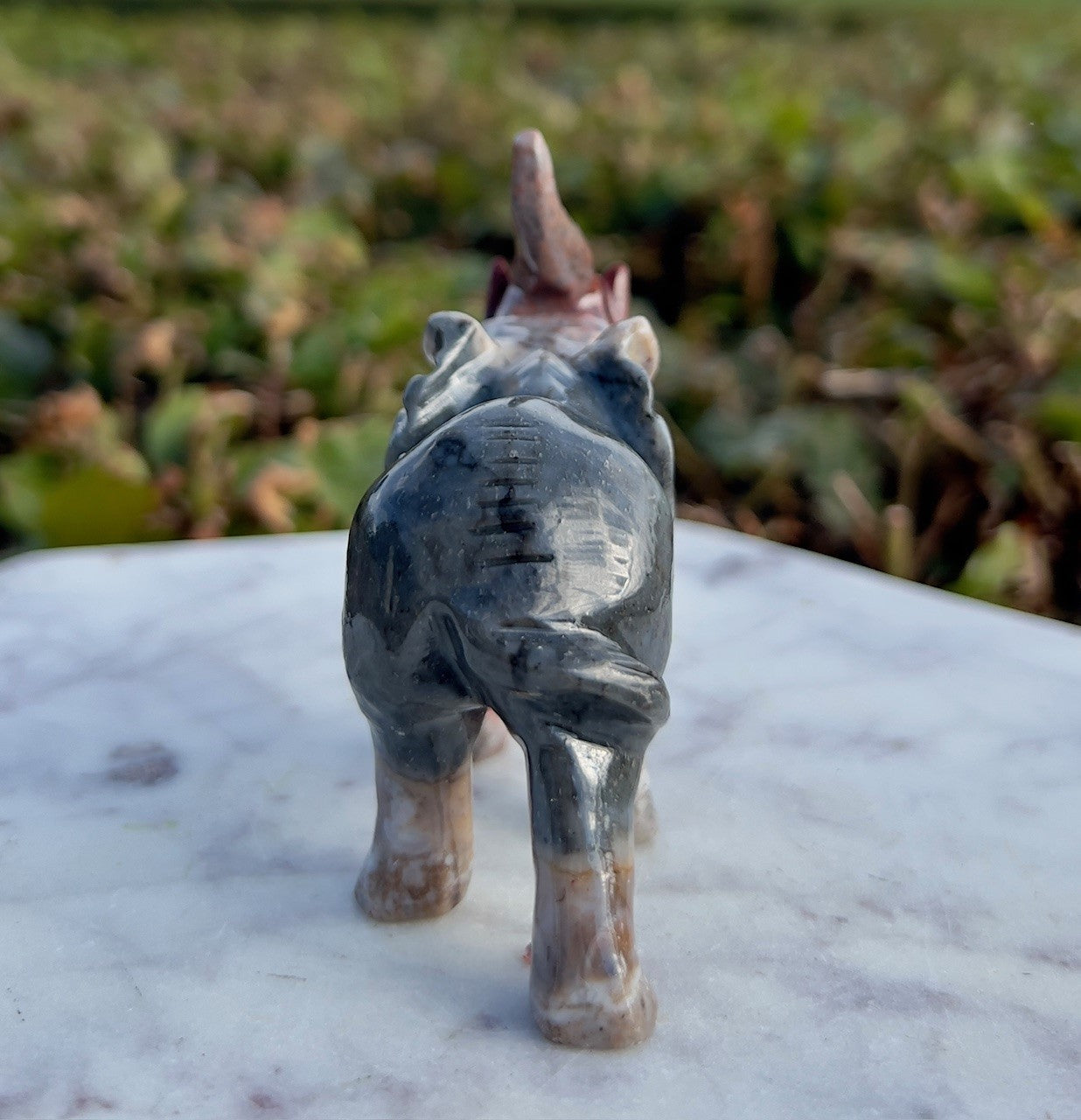 Elefant - Onyx 3