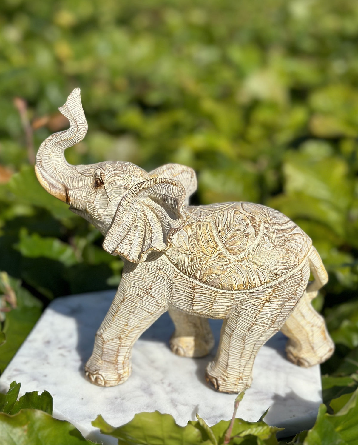 Elefant beige 1