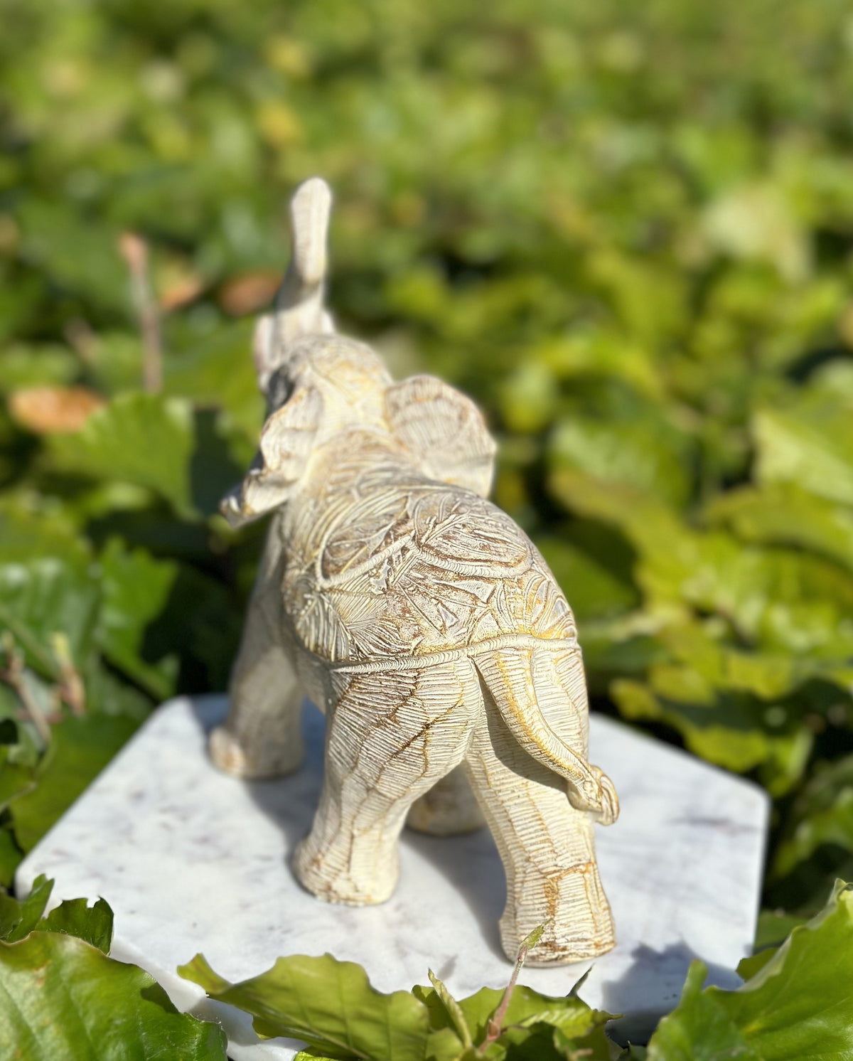 Elefant beige 3