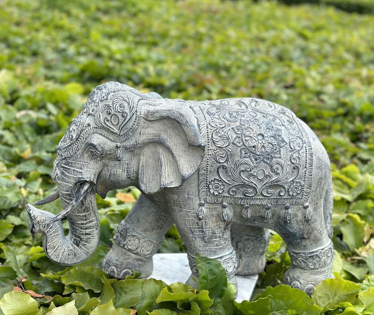 Elefant - Godmodig 3