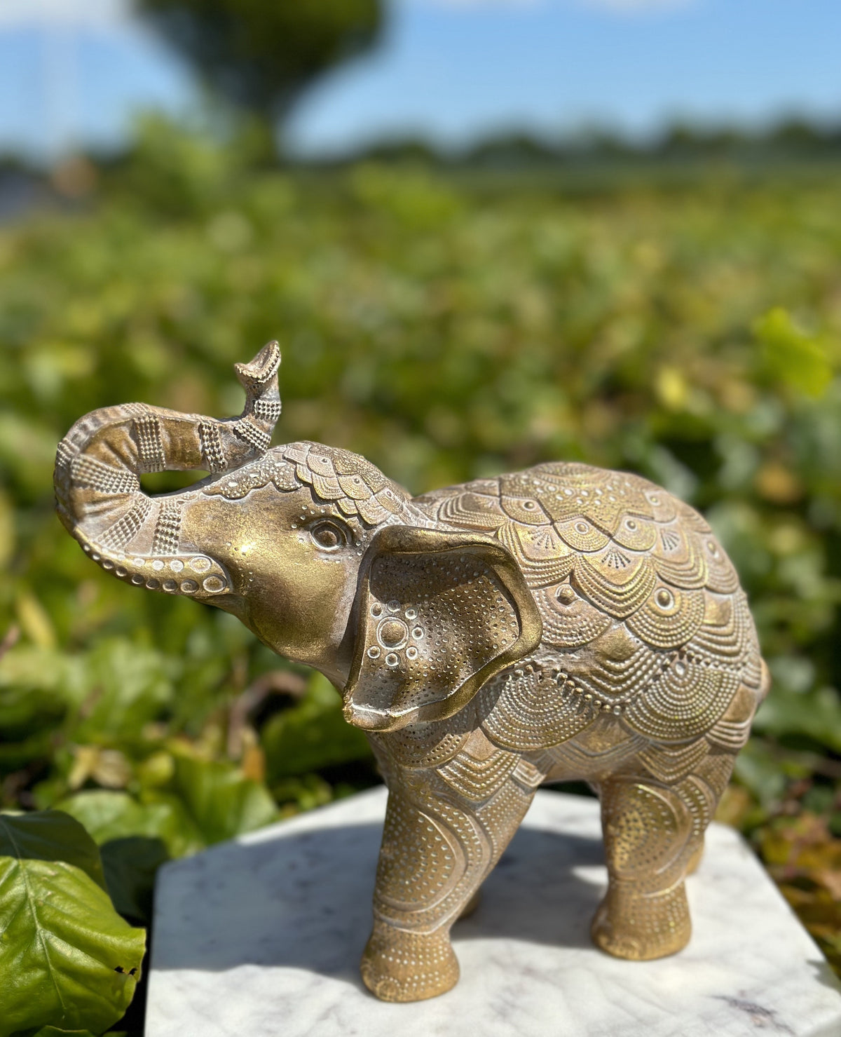 Elefant guld A 1