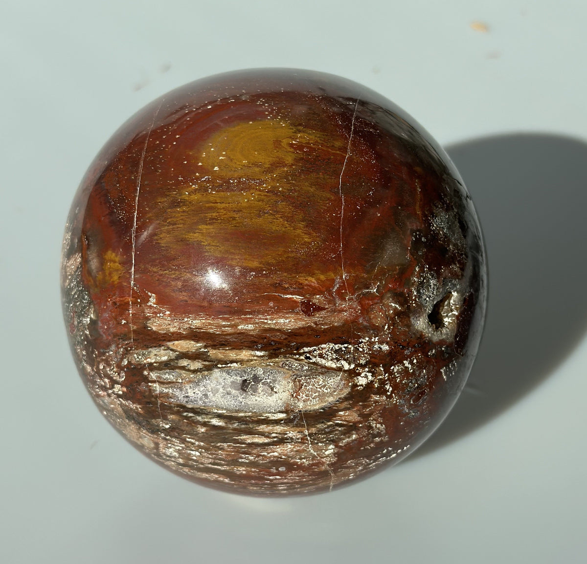Forstenet træ kugle 9 - 10 cm 3