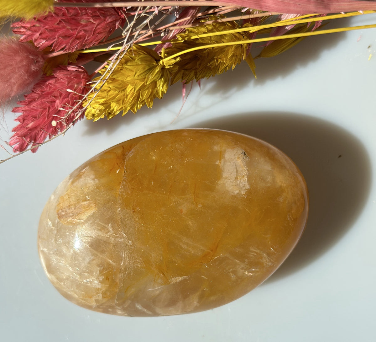 Golden healer stor oval 3
