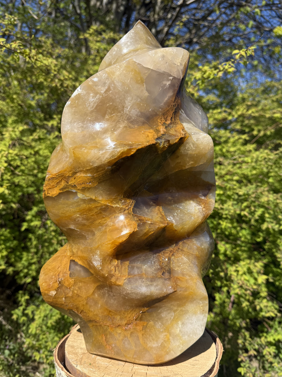 Golden Healer Flamme 39 cm 3