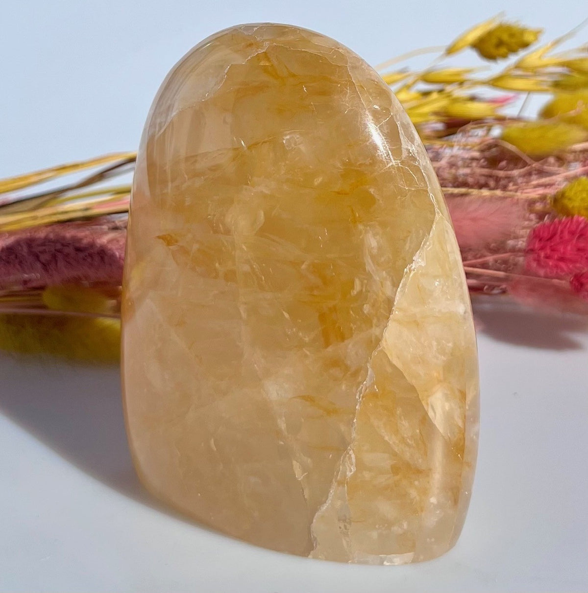 Golden healer freeform 11 cm 3