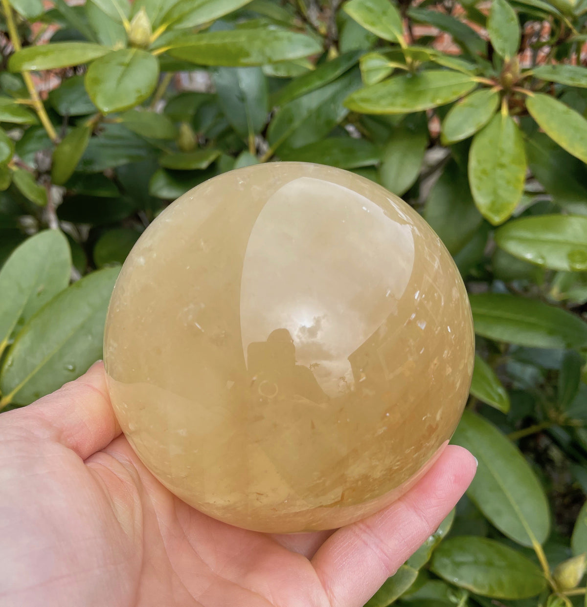 Golden healer - krystal kugle 3 - 4 cm