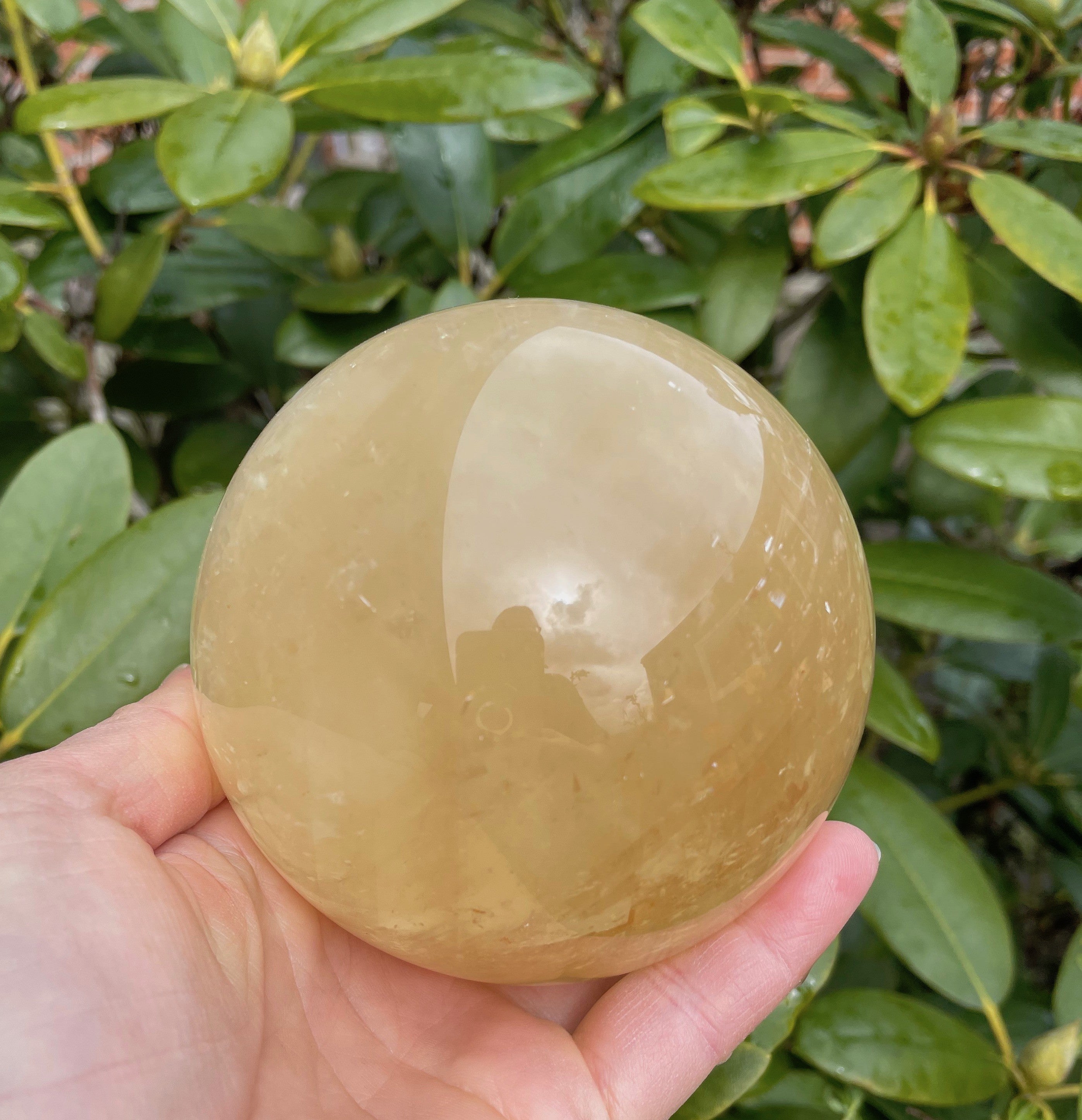 Golden healer kugle 4 - 5 cm