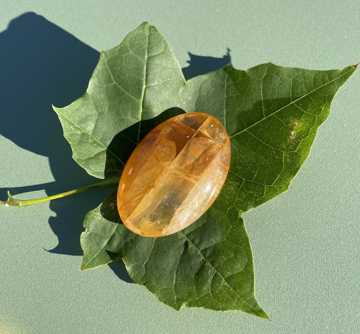 Golden healer oval 2