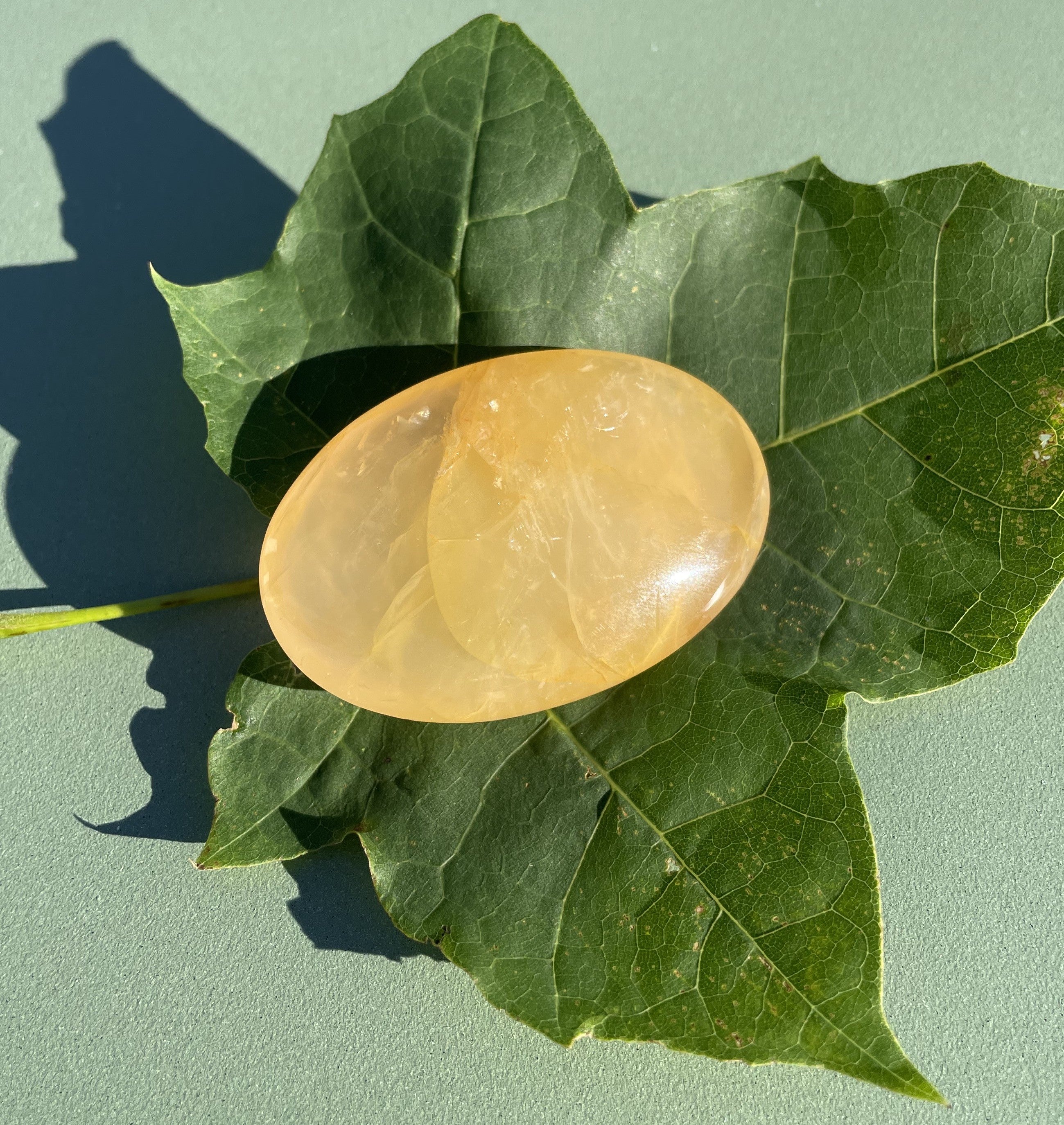 Golden healer oval 3